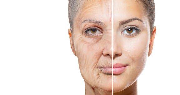 What does antiaging mean?